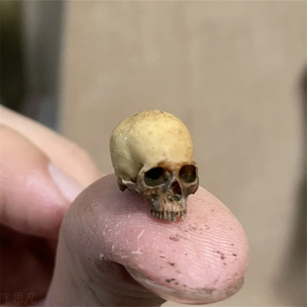 Marine Aquarium Mini - Mini Skull Hoge kwaliteit miniatuurmodel voor