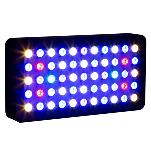 3W Chip LED voor aquarium, pro - Marine Aquarium Used recensie en prijs