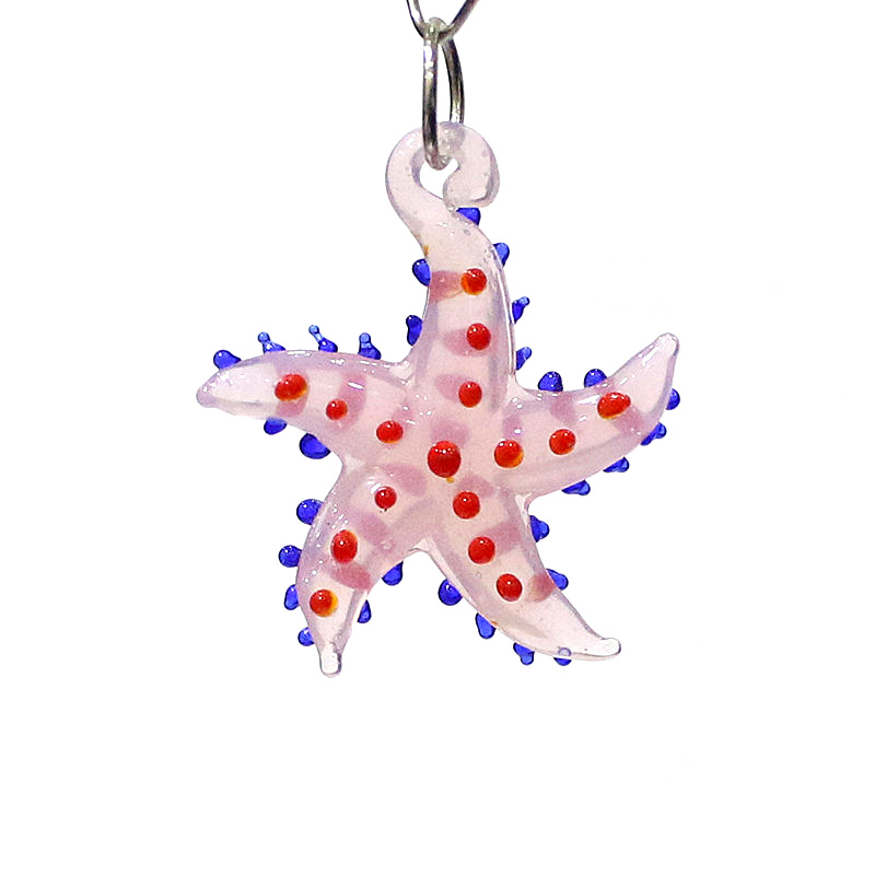 Schattige zeester charme minia - Marine Aquarium Mini recensie en prijs